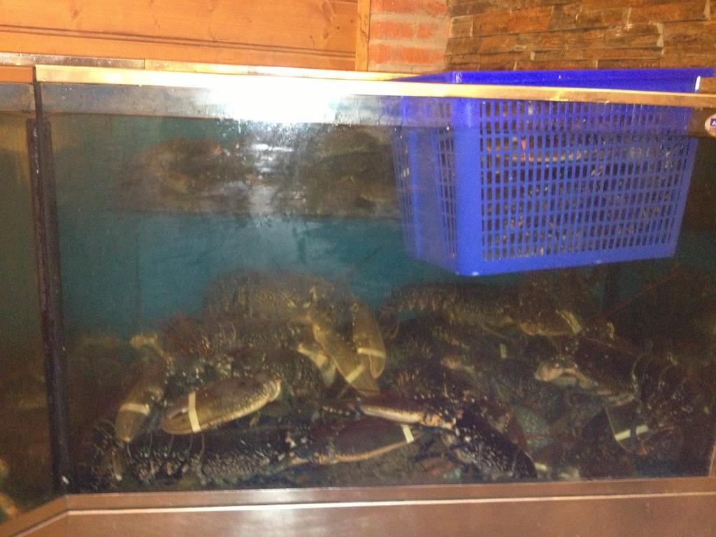 Hosteria San Emeterio Isla Plana 외부 사진